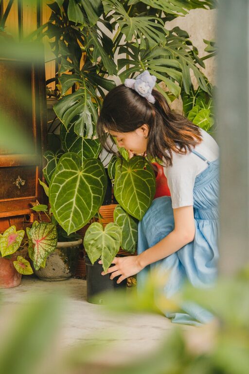 Tips for Creating a Beautiful and Low-Maintenance Home Garden